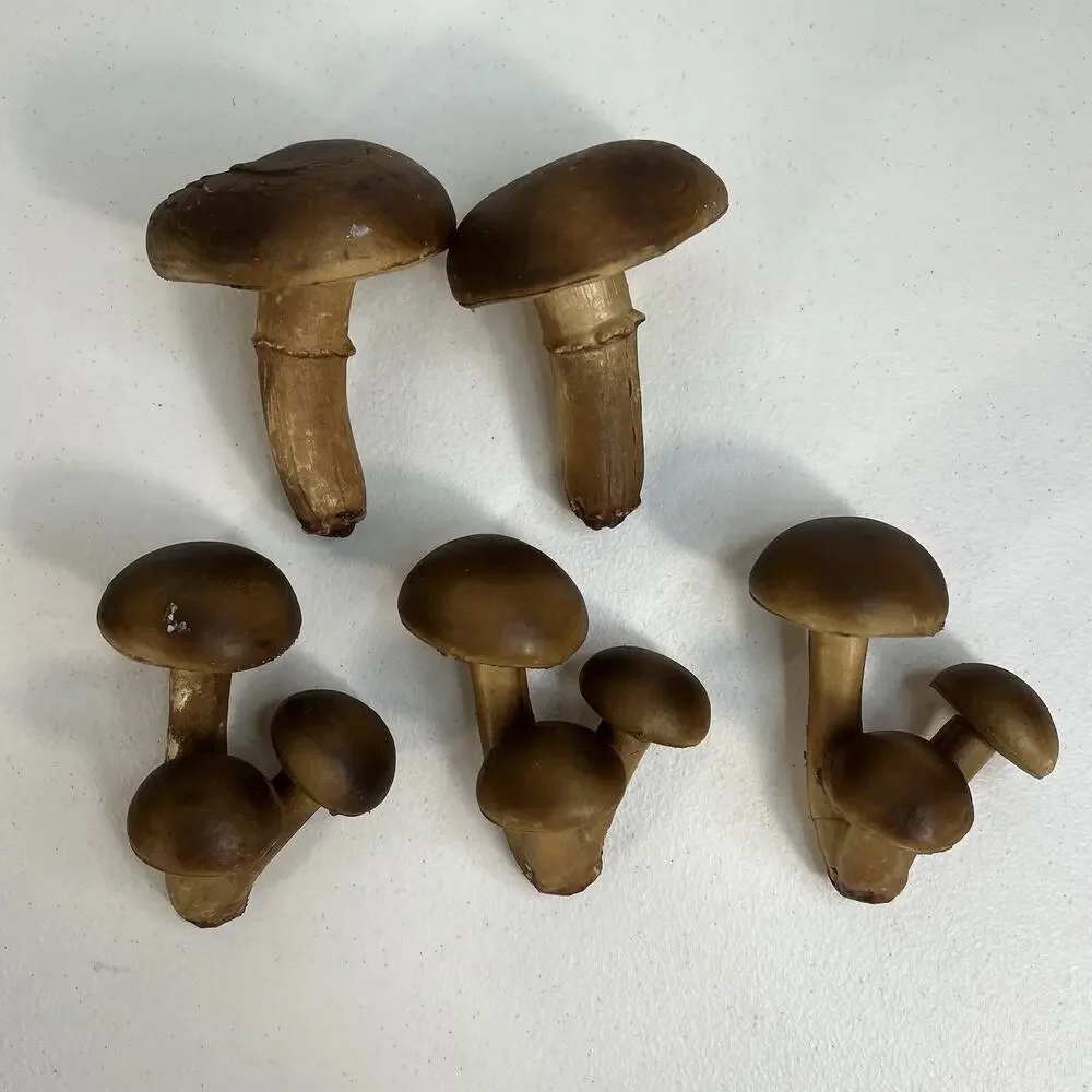 Vintage Lot of 5 Blow Mold Faux Mushrooms Fairy Garden Forrest Decor 70’s‎